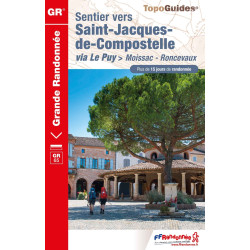Topoguide GR65: Sentier vers Saint-Jacques-de-Compostelle: Moissac - Roncevaux